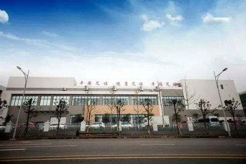 大數據驅動智慧升級，重慶高新區信息咨詢服務企業引領智造新篇章